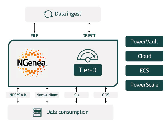 kalray ngenea diagram